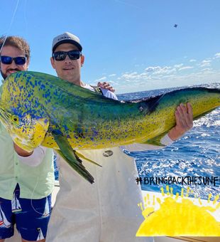 Thrill of the catch: Mahi-Mahi adventure in FL